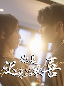 你是遲來的歡喜