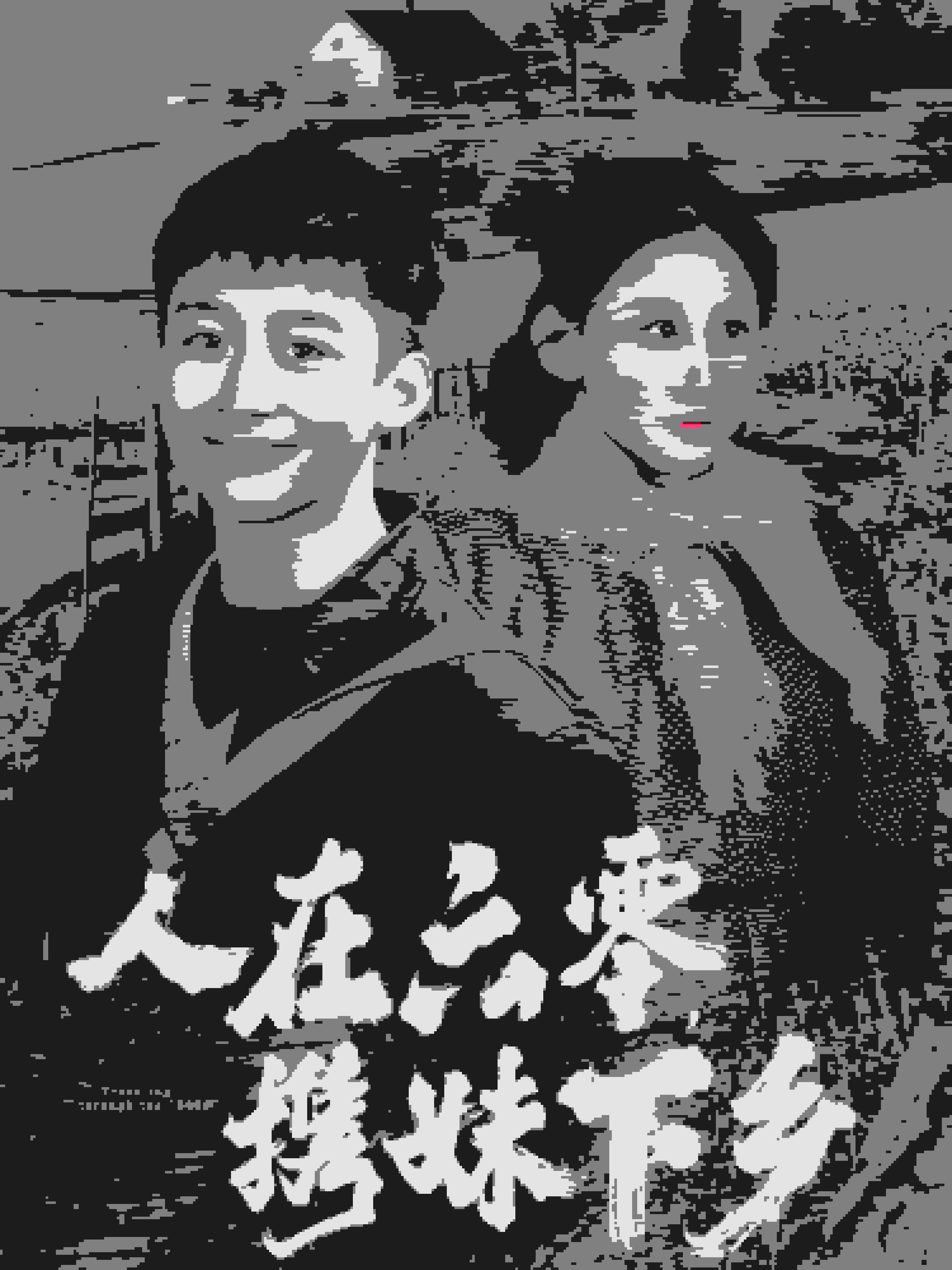 人在六零攜妹下鄉