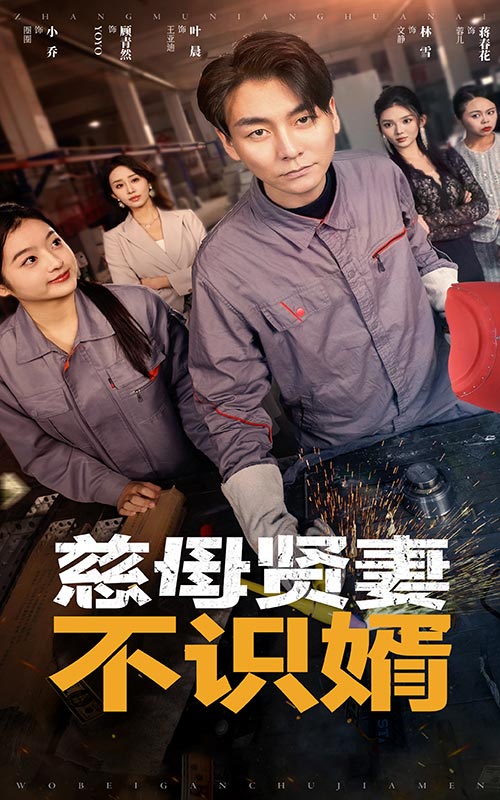 慈母賢妻不識婿