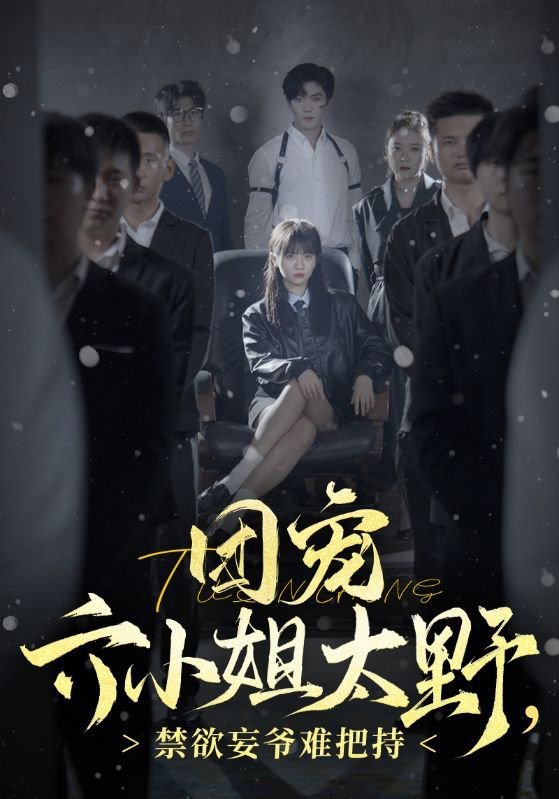 團寵六小姐太野，禁欲妄爺難把持