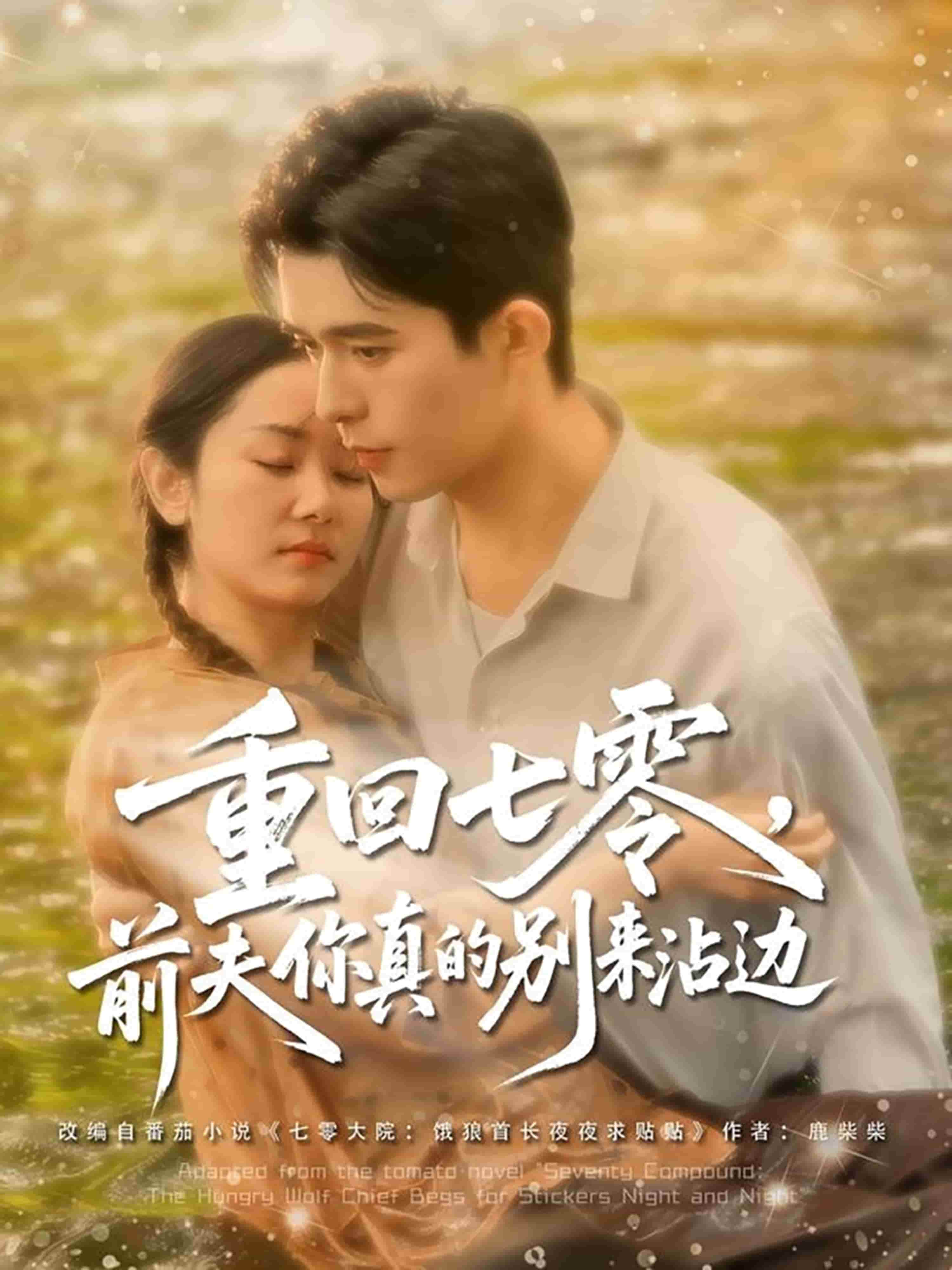 重回七零前夫你真的別來沾邊