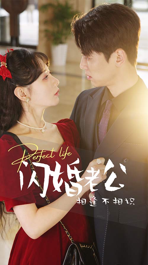 閃婚老公相逢不相識(shí)