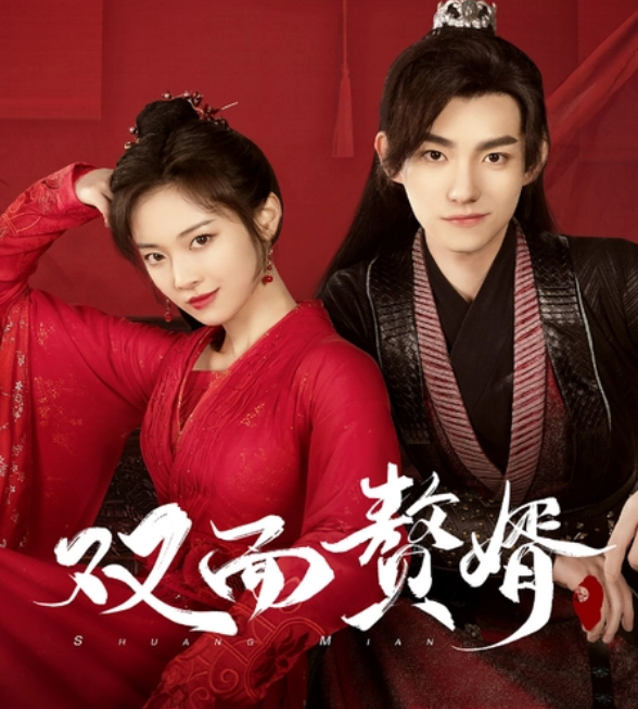 雙面贅婿不好惹