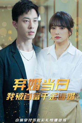 棄婚當日，我被首富千金逼婚