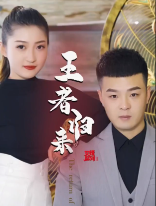 女婿駕到②王者歸來(lái)
