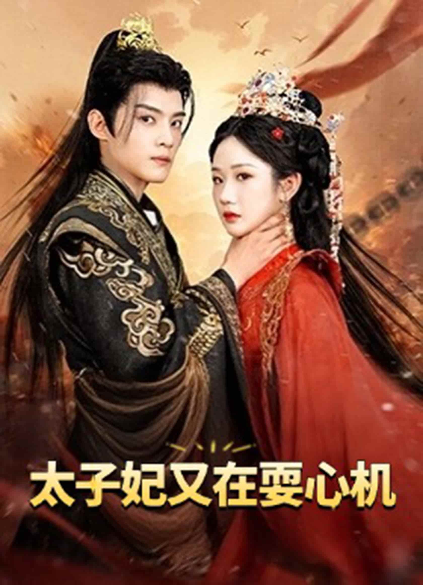 太子妃又在耍心機