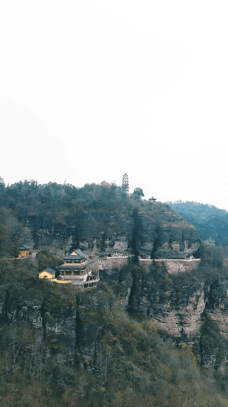 功夫萌寶神算爹