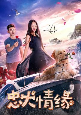 免費觀看B站60幀的視頻軟件