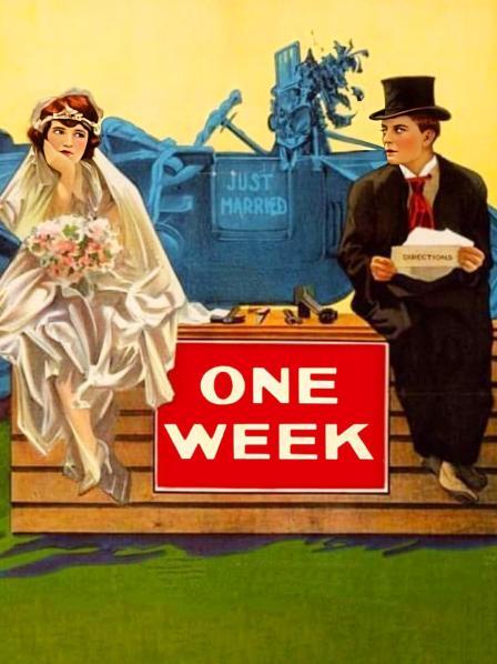 17.C.起草網(wǎng)登錄入口