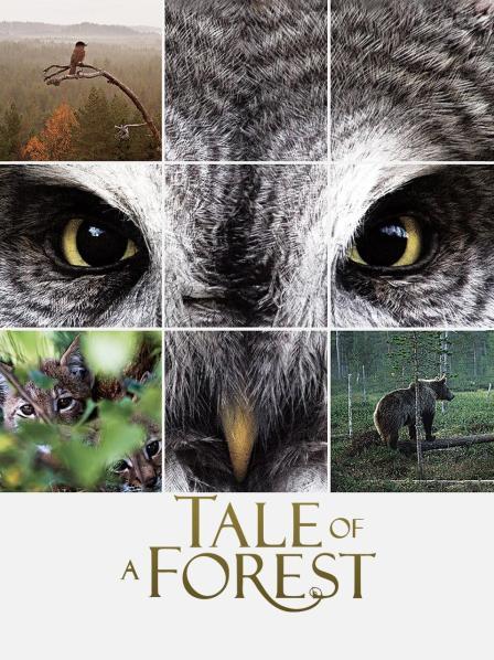 天天色粽合合合合合合合