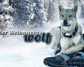 少女大人第32集劇情