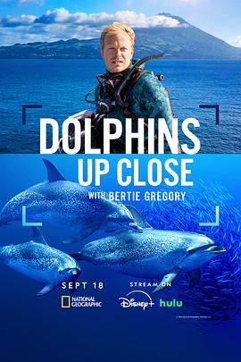 攝影師貝爾蒂與海豚零距離