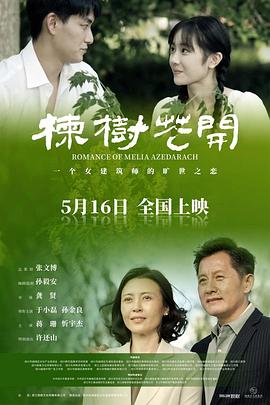 恨鎖金瓶電視劇