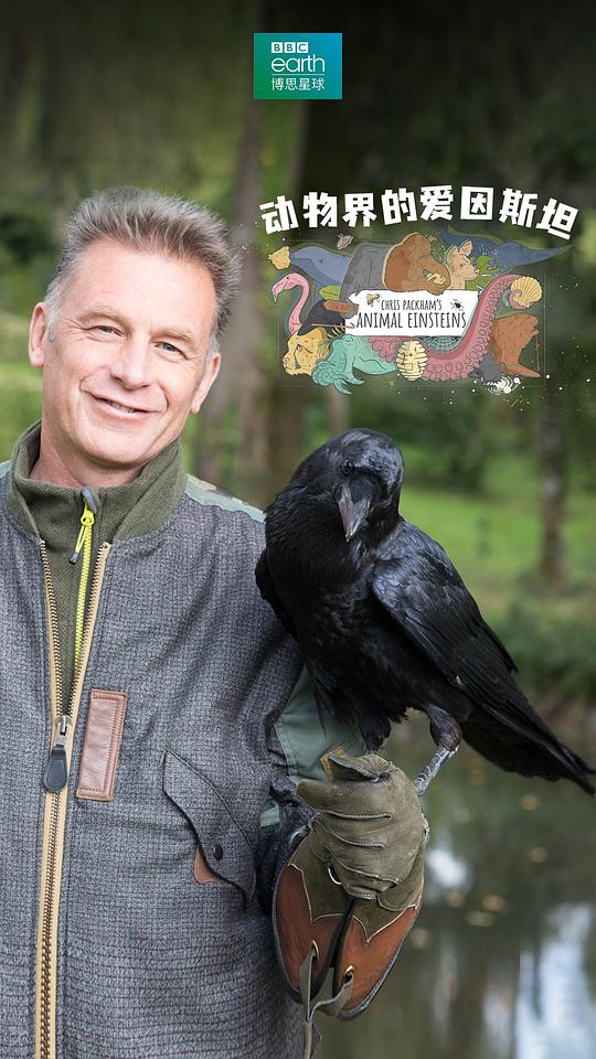 動物界的愛因斯坦第一季