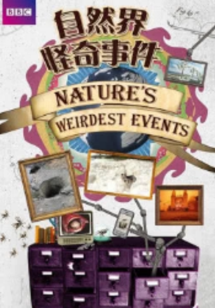 怪誕的自然第一季