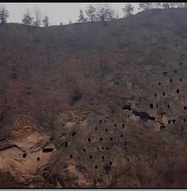 早晨被肉醒H醫生沈庭