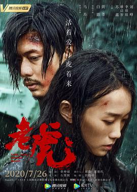 林楓蘇慕白穿越小說(shuō)全本免費(fèi)閱讀