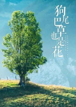 孤獨的美食家第八季